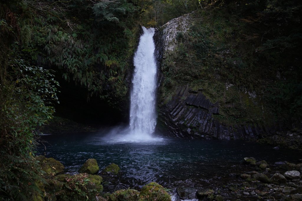 Blessings from Izu!  -Waterfall, River, Wasabi & Mt. Fuji! - 2025